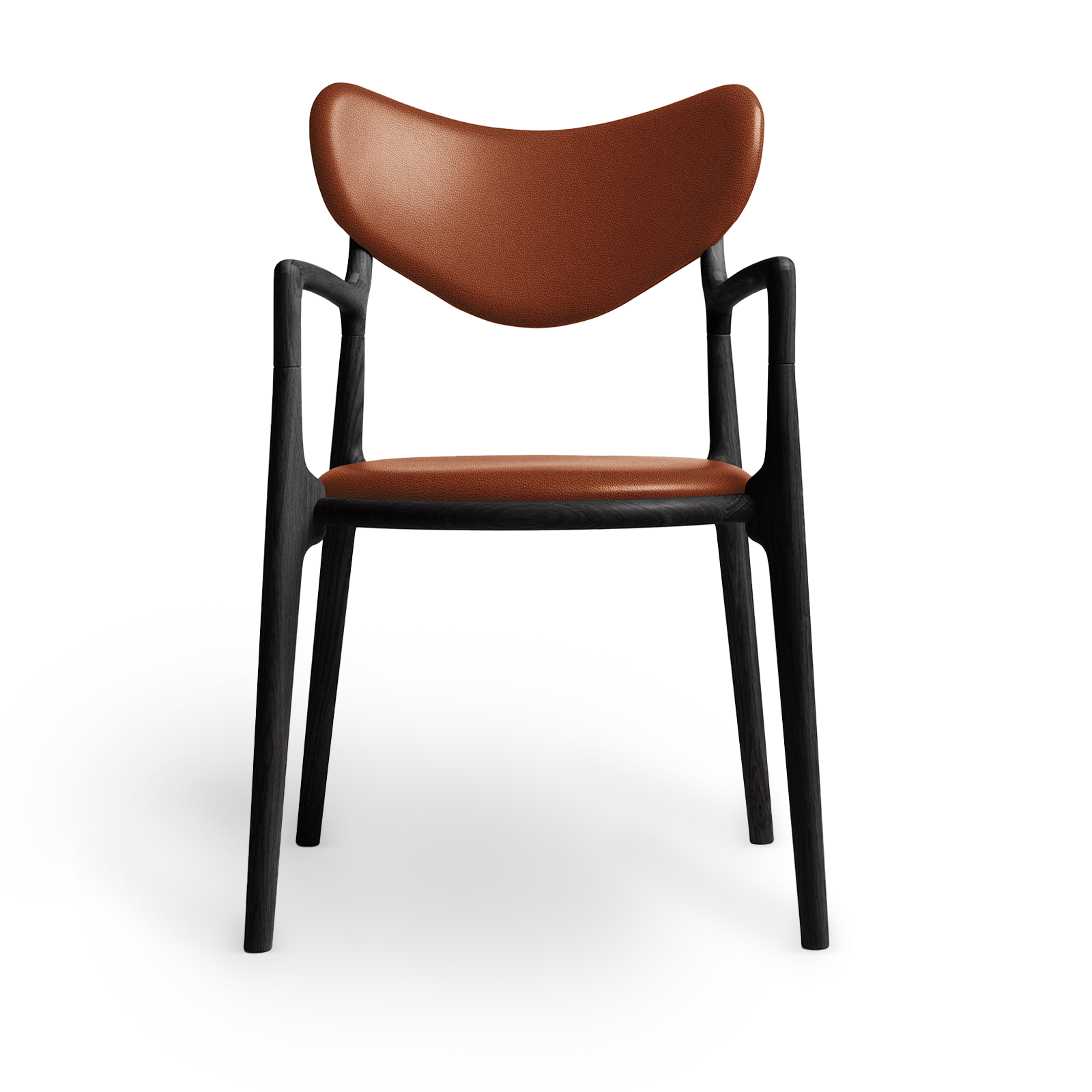 Salon Chair