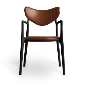 Salon Chair