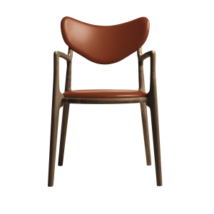 Salon Chair