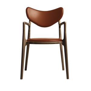 Salon Chair