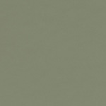 Linoleum / Olive