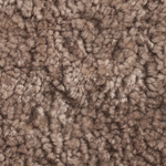 Sahara
