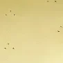 Polished Brass