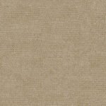AUDO | BOUCLÉ 02