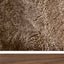 Walnut | Sahara