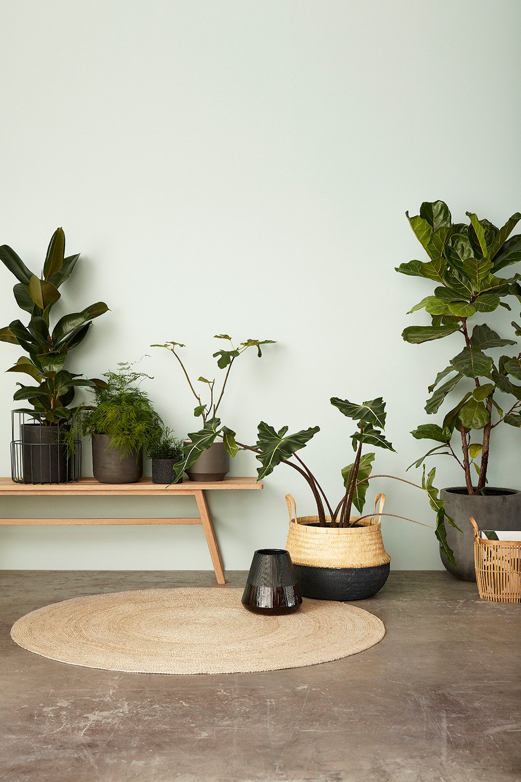 Daze Kurve Sort/Natur (sæt af 2)