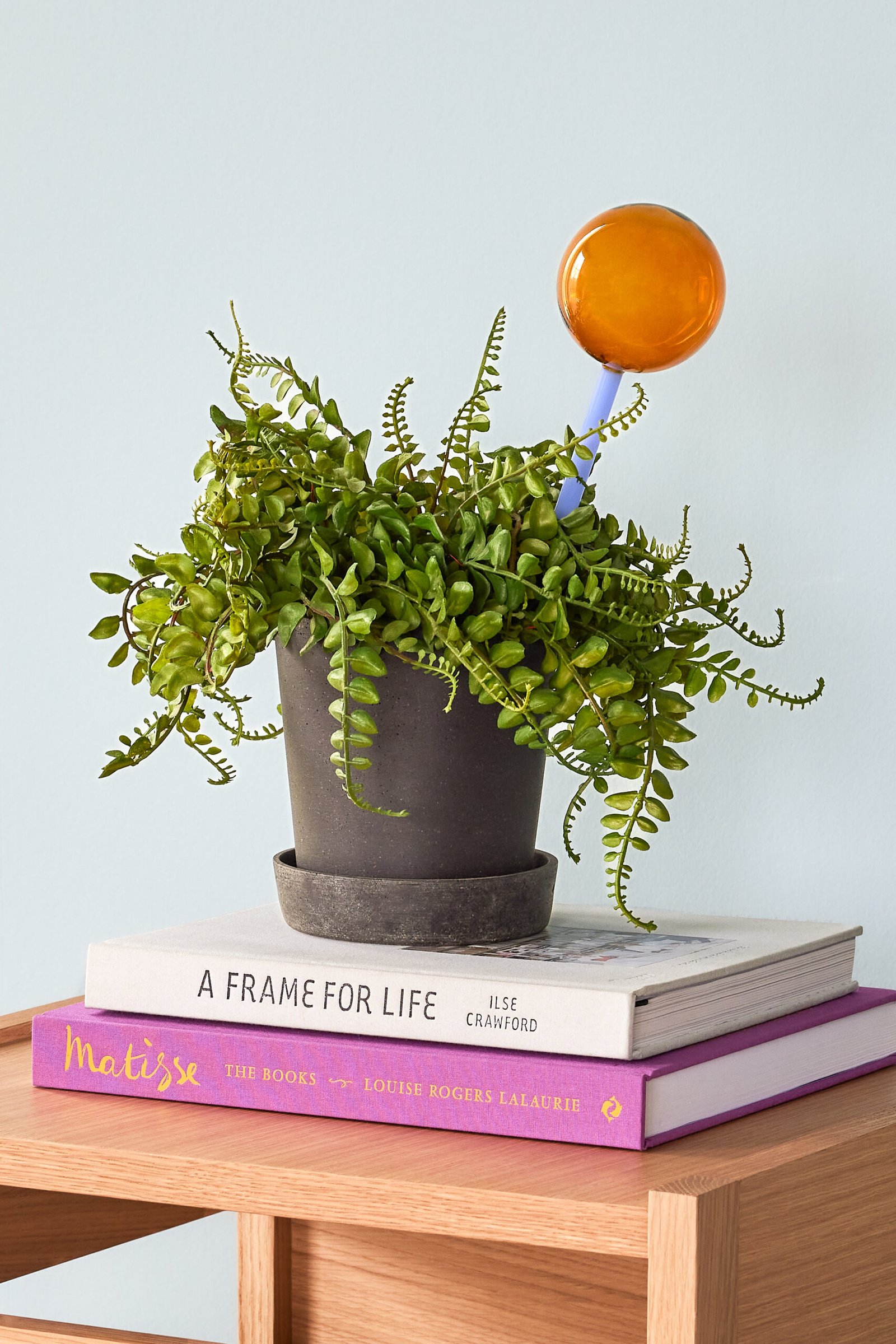 Flora Selvvander Ravfarve/Blå