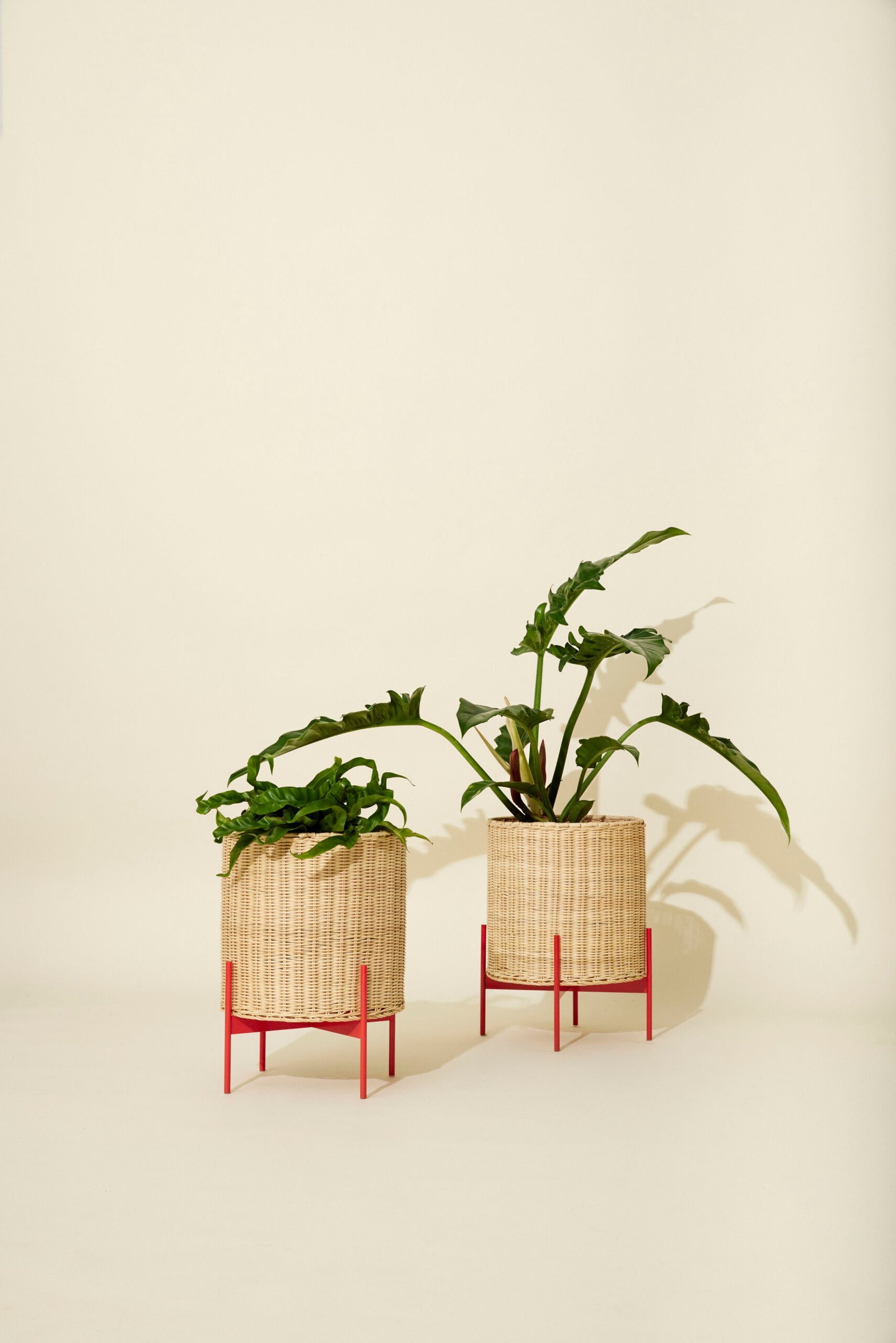 Splint Potte  Natur/Rød