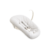 Vanilla White