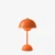 Zesty Orange