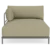 Clary Sage Green