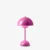 Tangy Pink