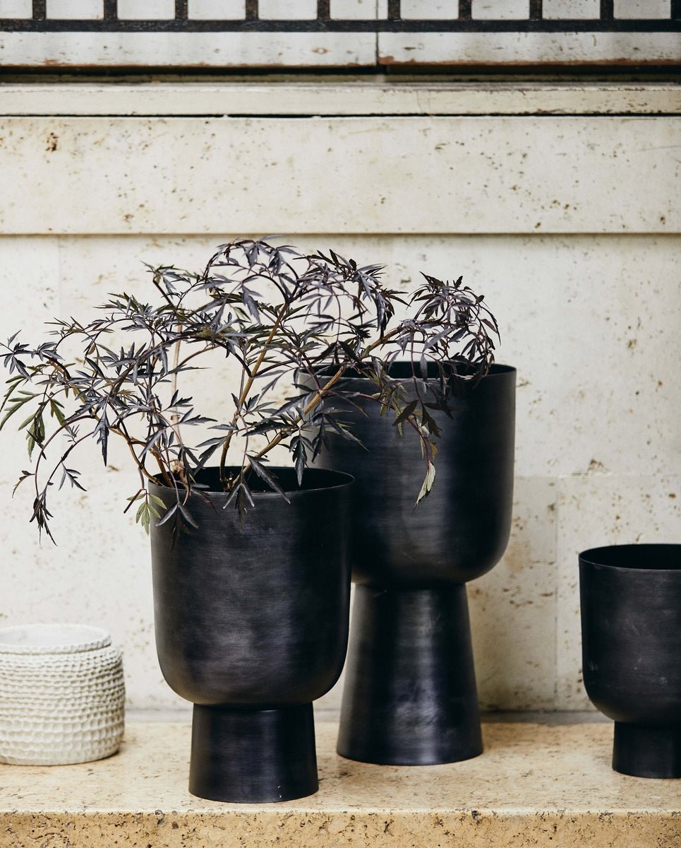 GALOA planter, L